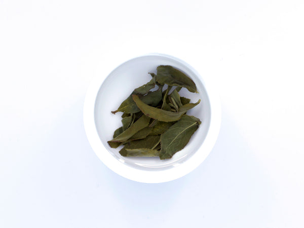 LiShan Oolong, Spring Harvest - 梨山青心烏龍春茶